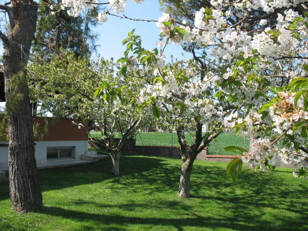 Bed & Breakfast Bompadre Civitanova Marche Eksteriør bilde