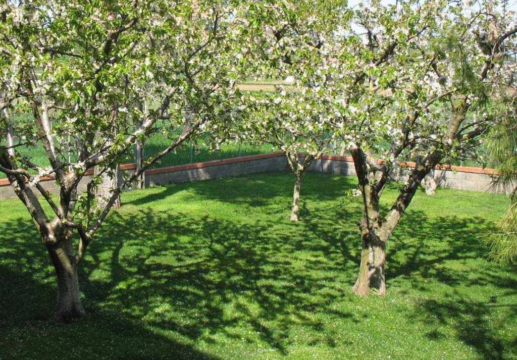 Bed & Breakfast Bompadre Civitanova Marche Eksteriør bilde